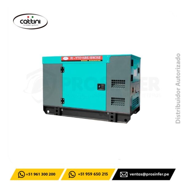 Generador Diesel 15 Kw Encapsulado Cattini RI-YTO15RS