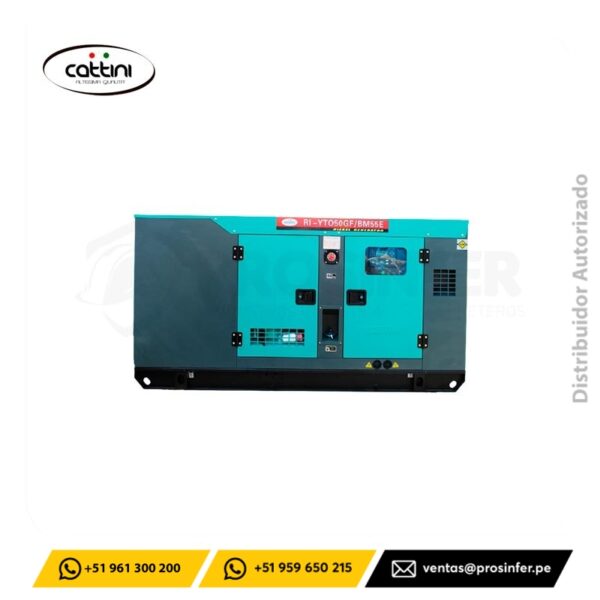 Generador Diesel 50 Kw Encapsulado Cattini RI-YTO50GF