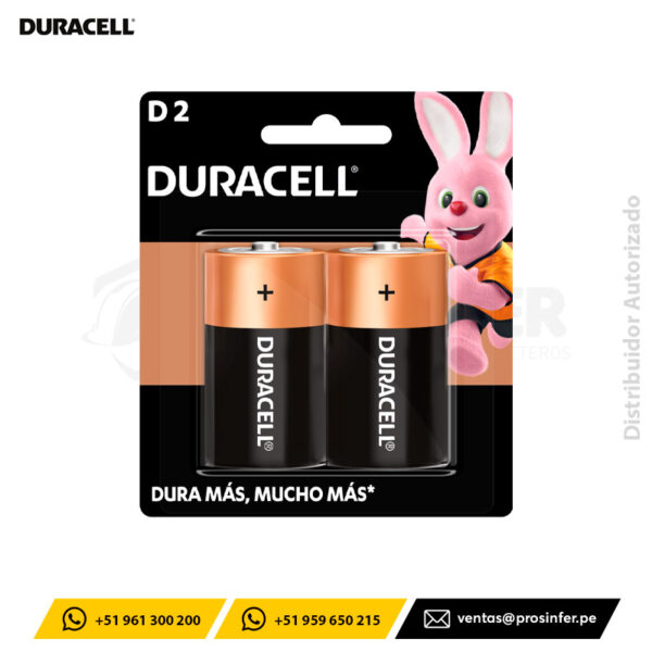 Pila Alcalina D2 Duracell MN1300